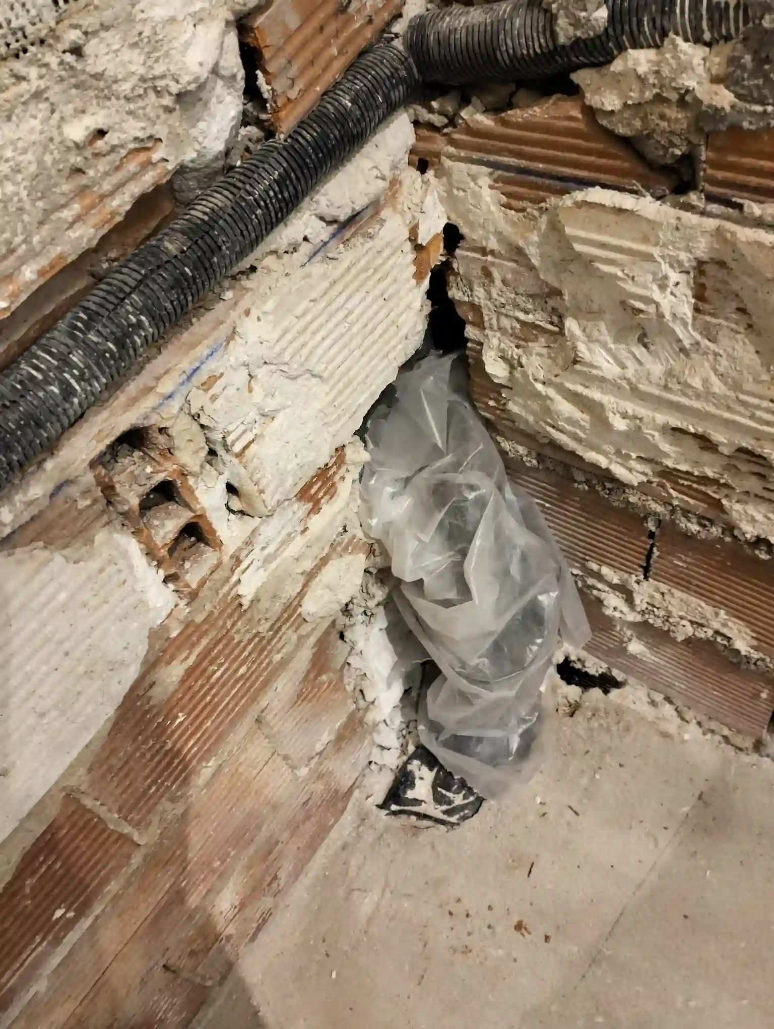 Imagen galería proyecto